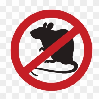 Professional Rat Control Solutions - Rats Banned Clipart