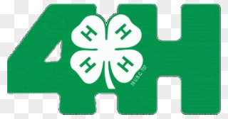 4 H National Youth Science Day San Angelo Live Events - 4h Head Heart Hands Health Clipart