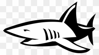 Vector Illustration Of Marine Predator Shark - Tubarao Em Vetor Png Clipart