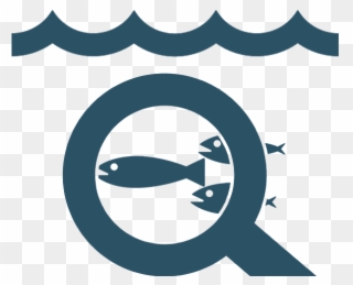 Trawlcamera's Use In Research Of Marine Life Clipart