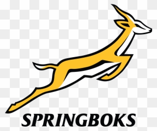 Sign - Springbok Rugby Team Logo Clipart