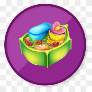 Win A Badge - Plant Cell Vector Clipart