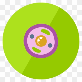 The Animal Cell - Animal Cell Icon Png Clipart