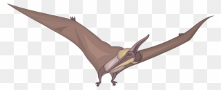 Pteranodon Clipart - Png Download