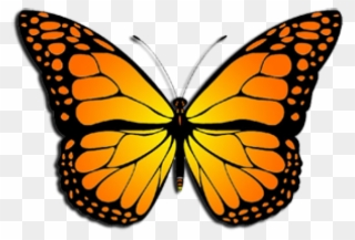 Monarch Butterfly Clipart August - Monarch Butterfly Clipart - Png Download