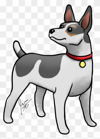 Rat Terrier Find Products Featuring This Little Guy - Rat Terrier Clipart