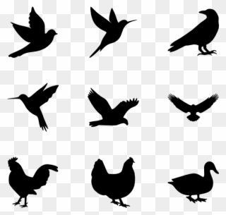 Bird Icons - Bird Png Vector Clipart