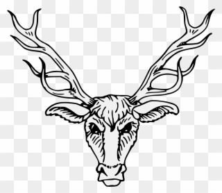 Pdf - Deer Head Heraldry Clipart