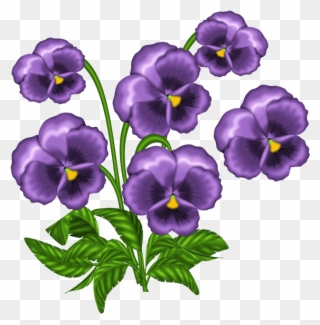 African Violets Clipart - Png Download