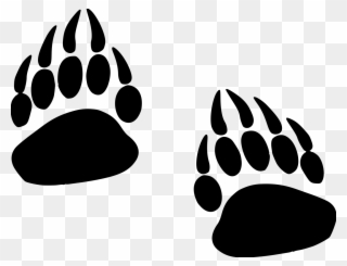 Grizzly Paw Prints File Size - Grizzly Paw Png Clipart