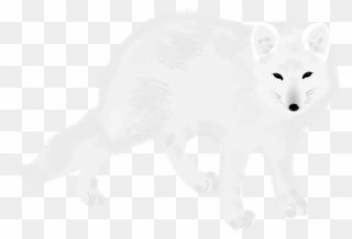 Arctic Fox - Portable Network Graphics Clipart