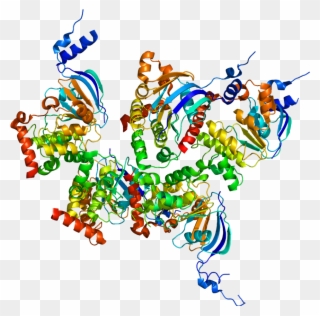 Cftr Protein Clipart