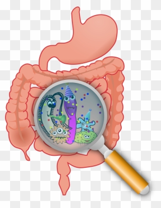 Family Jewels - Gut Microbiota Clipart
