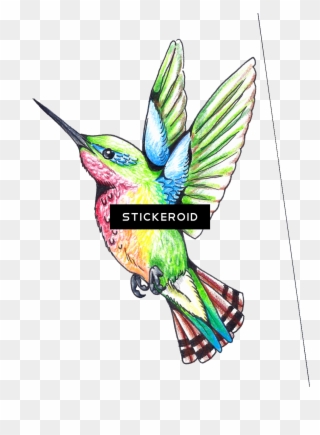 Hummingbird Tattoos - Hummingbird Clipart