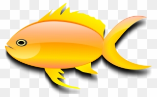 Free Pez Dorado - Gold Fish Clip Art - Png Download