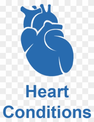 Elizabeth Healthcare - Hemet Valley Medical Center Logo Clipart