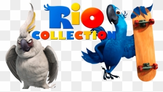 Rio Collection Image - Rio De Janeiro Film Clipart
