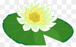 White Flower Water Lily Clipart The Cliparts Png Clipartix - Lily Pad Clipart Png Transparent Png