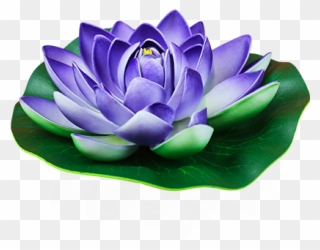 Turquoise Lotus Floating Flower - Skylantern Original Turquoise Lotus Water Lantern Clipart