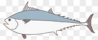 Kawakawa/mackerel Tuna - Illustration Clipart