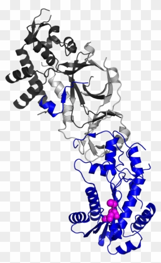 3puf Highlight Subunit A - Aicardi Syndrome Clipart
