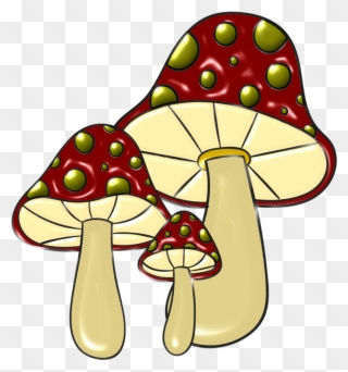 Hongos-09 By Bbvzla Snails, Fairy Houses, Stuffed Mushrooms, - Edible Mushroom Clipart