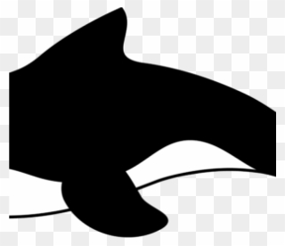 Orca Whale Clip Art Orca Whale Clipart All Clip Art - Cartoon Orca - Png Download