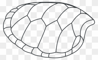 Turtle Drawing 4, Buy Clip Art - Turtle Clip Art - Png Download