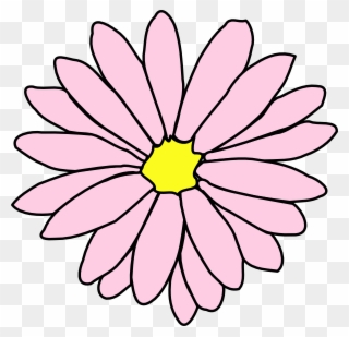 Pink Daisy Flower 3 Clip Art - Daisy Flower Clipart Black And White - Png Download