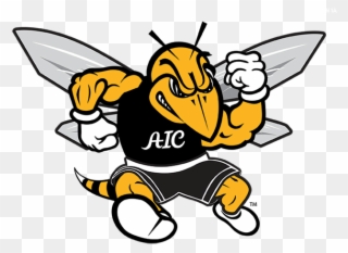 American International College Adds Women's Triathlon - Aic Yellow Jackets Logo Clipart