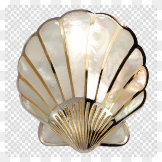 Download Mother Of Pearl Png Clipart Pearl Nacre Seashell - Hoffman Lake Mesh Cap Transparent Png