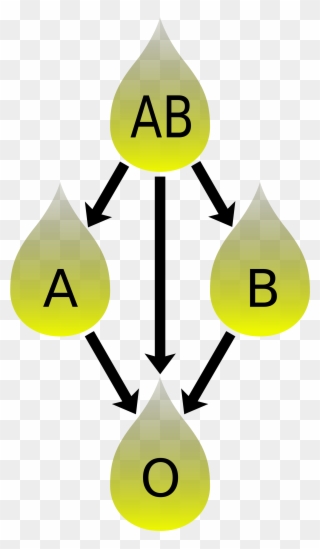 Blood Donation Clipart 19, Buy Clip Art - Plasma Compatibility Chart - Png Download