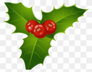 Berries Clipart Holly Leaf - Christmas Mistletoe Png Transparent Png