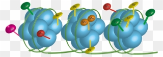 Our Lab Is Studying The Role Of Epigenetic Pathways - Radiation Therapy Clipart