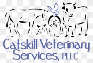 Survey Form - Catskill Veterinary Services, Pllc Clipart