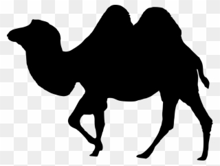 Desert Clipart Desert Caravan - Camel Silhouette Vector Png Transparent Png