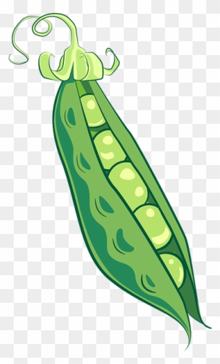Green Pea Clipart