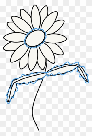Clip Freeuse Download How To Draw A Daisy Easy Guides - Drawing - Png Download
