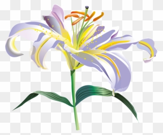 Flores Vectoriales Con Fondo Transparente - Drawing Clipart