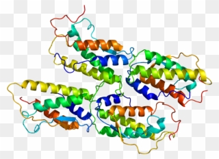 Grow Factor In Biology Clipart