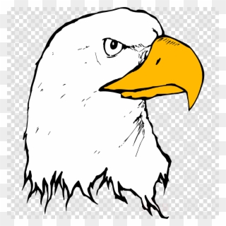 Download Eagle Beak Clipart Bald Eagle Clip Art Eagle - Eagle Beak Clipart - Png Download