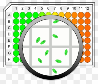 Microcell Arrays Obtain More Accurate Data From Single - Microcell Clipart