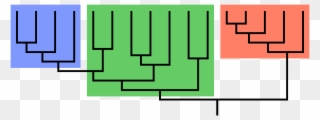 Phylogeny Clade Clipart
