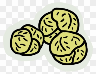 Vector Illustration Of Brussels Sprouts Small Cabbage - Xiaochi Clipart