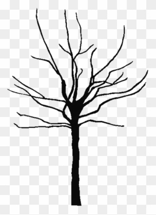 Leafless Tree Coloring Page - Bare Tree Outline Clipart - Png Download