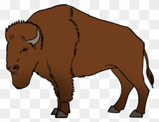 How To Draw Buffalo - Draw A Buffalo Clipart