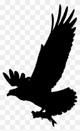 Osprey Clipart Silhouette - Osprey Clip Art Black And White - Png Download
