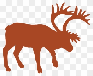 Mountain Caribou - Deer Clipart