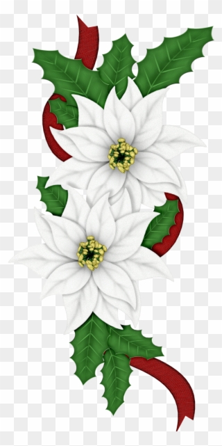 Edelweiss Png - Clip Art Of Christmas Flowers Transparent Png