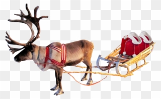 Santa Sleigh Png Clipart - Santa And Reindeer Transparent Background
